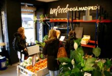 شهد عام 2021 نجاحاً لمتاجر Wefood لإيقاف هدر الطعام.حيث اعتمدت متاجر Wefood سياسة بيع البضائع