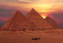 استئناف إصدار الفيزا المصرية للسوريين في الأيام القليلة المقبلة، حيث يأتي ذلك بعد إيقافها المؤقت. تعرف على سعر الفيزا والمدة اللازمة لإصد
