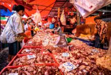 لى الرغم من تسجيل أولى حالات كورونا وانطلاق مرض السارس من الأسواق الرطبة في ووهان، لا تزال قيد العمل ولم تغلق بعد.