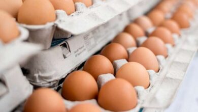 ارتفاع أسعار البيض ليصل إلى ستة لسبعة كرون للبيضة الواحدة نتيجة لارتفاع أسعار الطاقة والأعلاف المواد الخام الأخرى نتيجة الغزو الروسي
