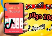كيفية الربح من التيك توك للمبتدئين
