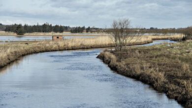 لا تتوقف الحكومة الدنماركية عن العثور على مياه الشرب الملوثة بمواد الـ PFAS في جميع أنحاء الدنمارك، وقد أرفقنا رابط لعناوين المياه الملوثة.