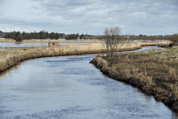 لا تتوقف الحكومة الدنماركية عن العثور على مياه الشرب الملوثة بمواد الـ PFAS في جميع أنحاء الدنمارك، وقد أرفقنا رابط لعناوين المياه الملوثة.