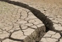الدنمارك تعاني من فترة جفاف غير مسبوقة منذ سنوات عديدة